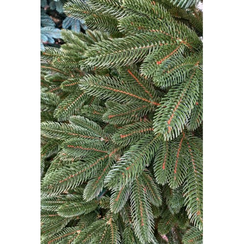 Елка литая 1.8м Royal VIP зеленая